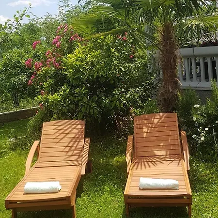 Adria * אופטיה