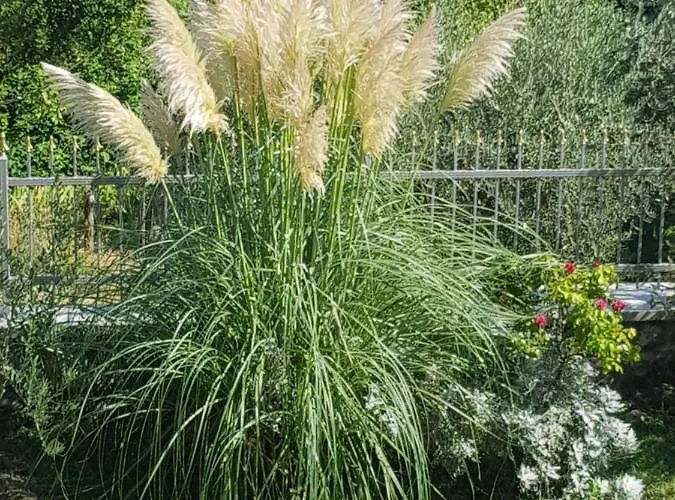 Appartamento Adria Abbazia