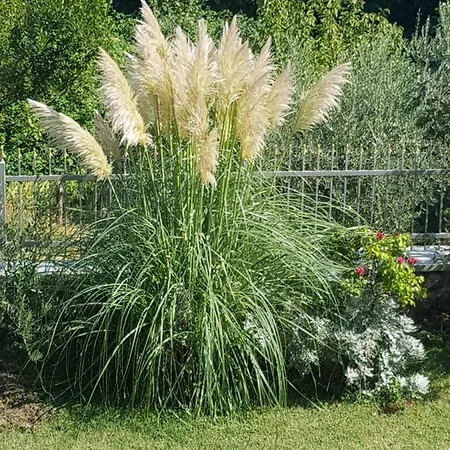 Lejlighed Adria Opatija